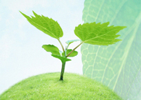 Business Incubation and Others